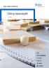 China Newsletter 1/13 CN