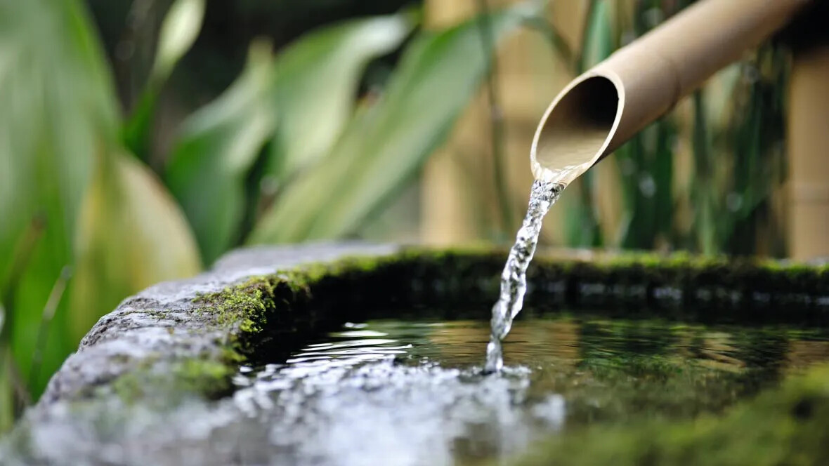 Sarlon absolu Sarlon absolu - bioplastifiant