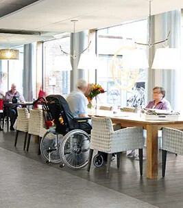 Eldery care Eternal
