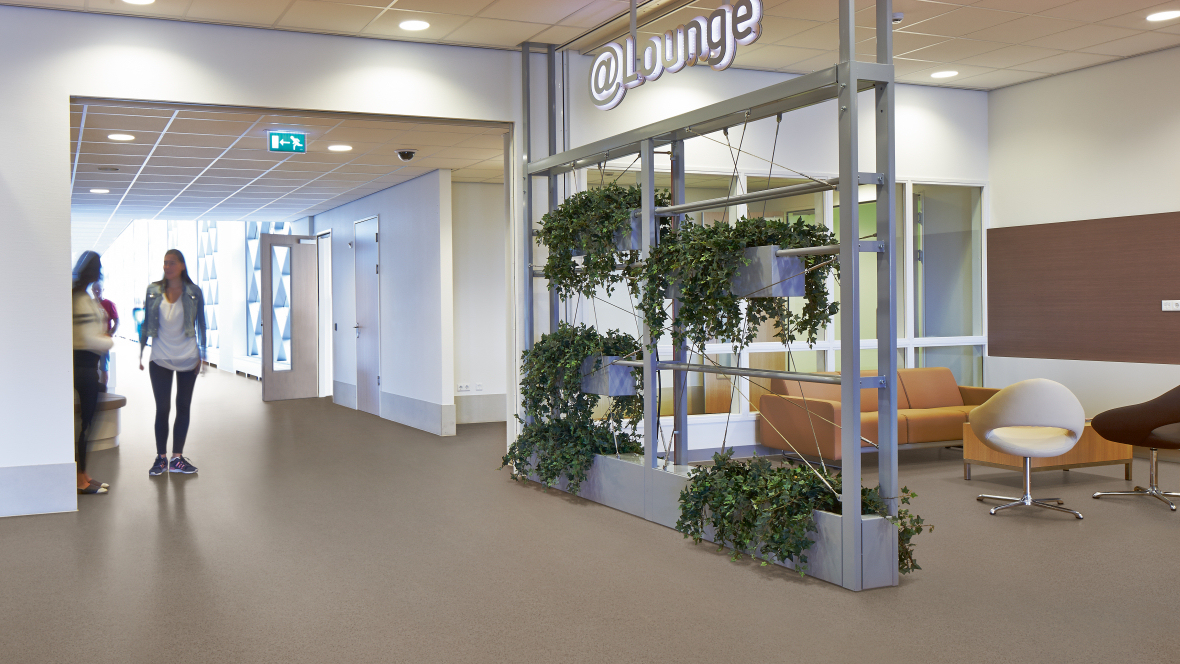 Sarlon acoustic vinyl 