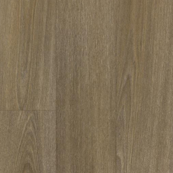 Sarlon Compact Chene XL