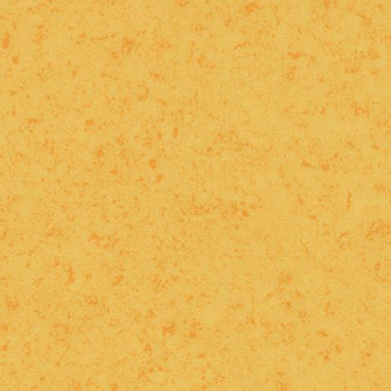 Sarlon Compact Canyon 43C2205