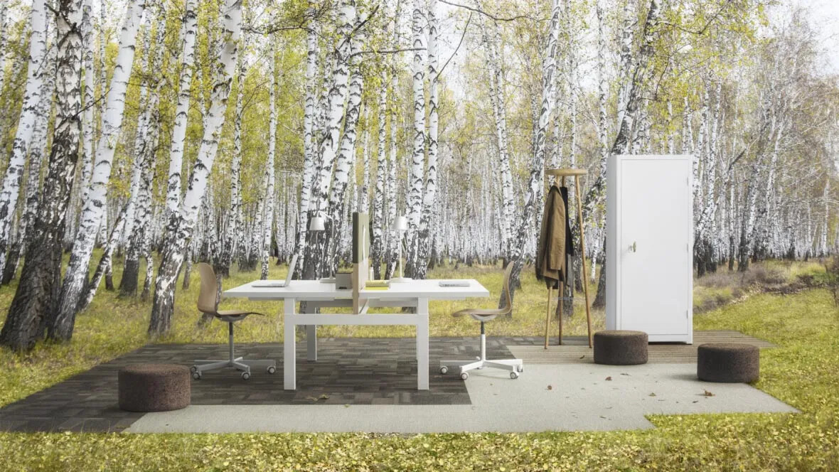 Tessera Forest natural