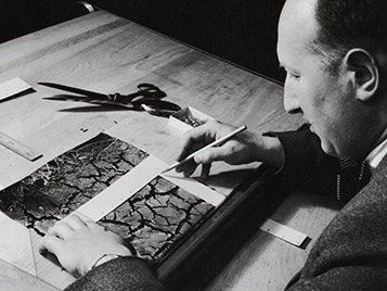 Tibor Reich portrait