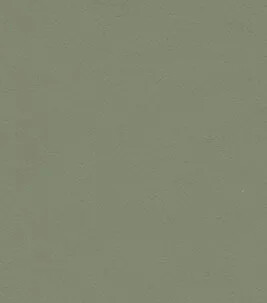 Furniture Linoleum 4184 tabletop