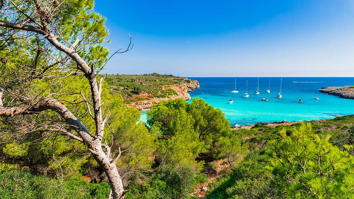 Lebensräume Mallorca