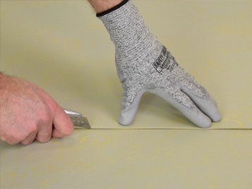 opleiding hoofdbestand