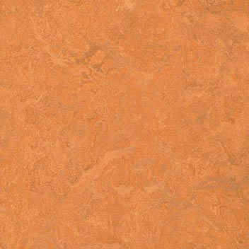 Linoleum Sports Floors Linoleum Sports Floors