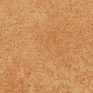 s290008 Calgary saffron