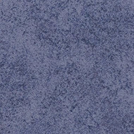 s290022 Calgary condor