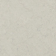 386035 silver shadow