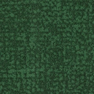 s246022 Metro evergreen