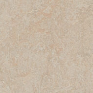 63871 silver birch