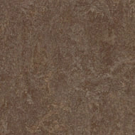63874 walnut
