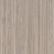 63573 trace of nature