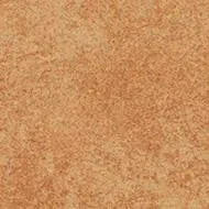 t590008 Calgary saffron