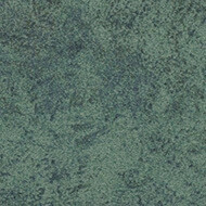 t590009 Calgary moss