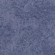 t590022 Calgary condor