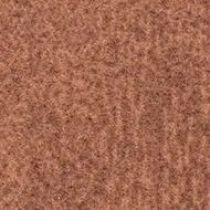 t382019 Penang ginger