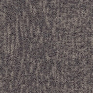 t382020 Penang shale