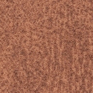 s482019 Penang ginger