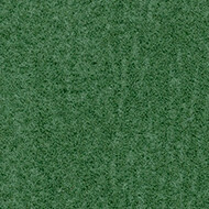 s482010 Penang evergreen