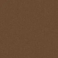 900204 camel
