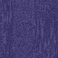 s482024 Penang purple