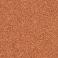 2207 cinnamon bark