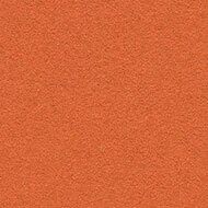 2211 tangerine zest