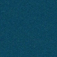 2214 blue berry