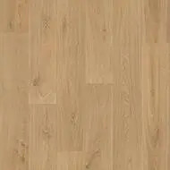 428483 chêne scandinave