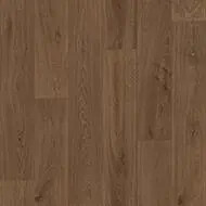 428494 chêne noisette