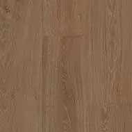 428484 chêne canadien