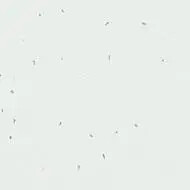 50200 snow