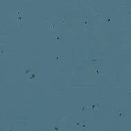 50204 deep sea