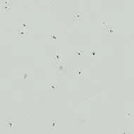 50205 inox