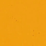 50210 mandarin