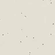 50222 lace