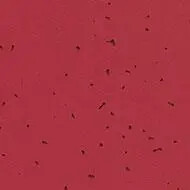 50228 burgundy