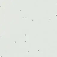 50230 polar