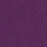 50232 eggplant