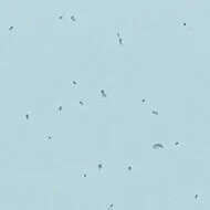 50239 ice