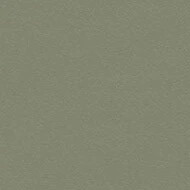 4184 olive