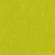 3646 young grass