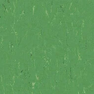 3647 nettle green