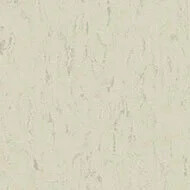 3650 polar bear