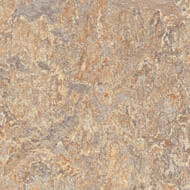 333407 donkey island