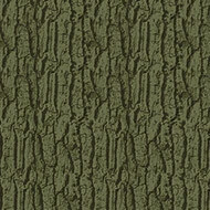 980603 Arbor moss