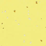 50436 lemon